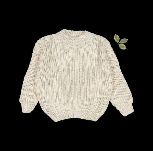 the-chunky-knit-sweater-confetti Lovely Littles - Sophia's StyleKnit Sweater-1